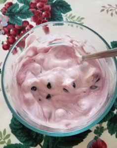 Blueberries and Yogurt mixed